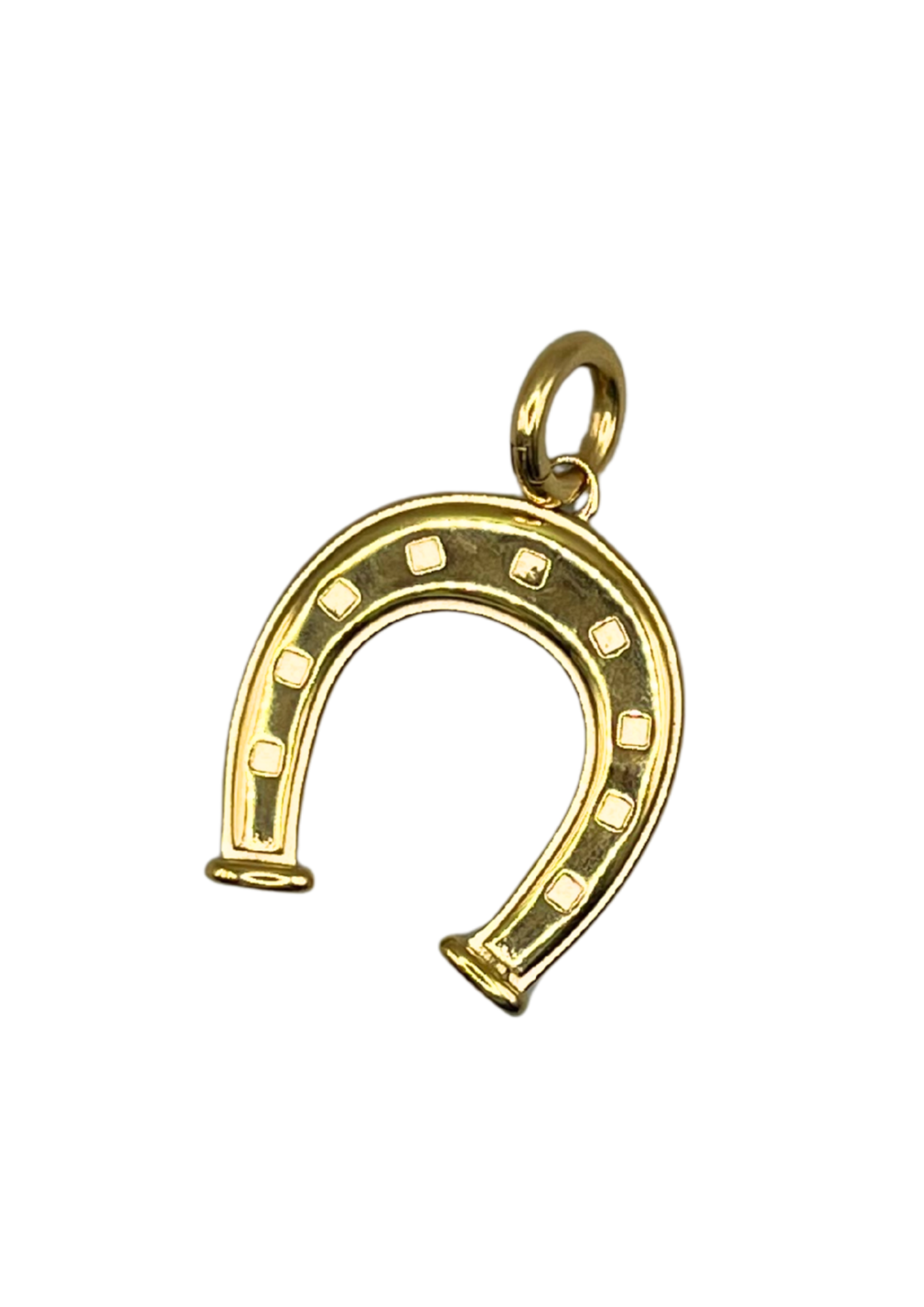 Horseshoe Pendant