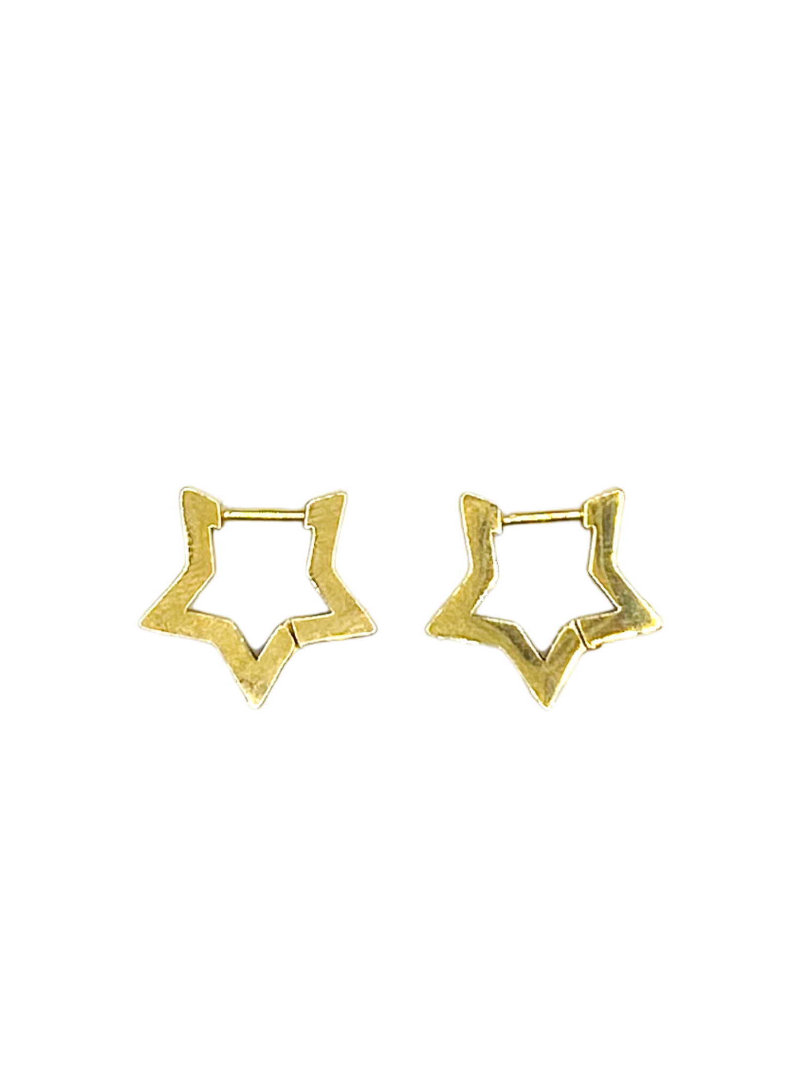 Ster oorbellen ~ 2 stuks