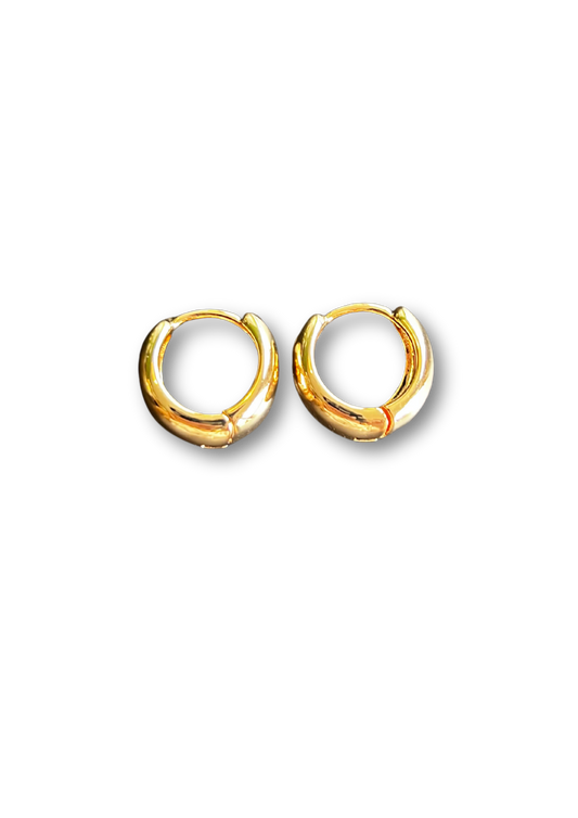 Round Oval Hoop