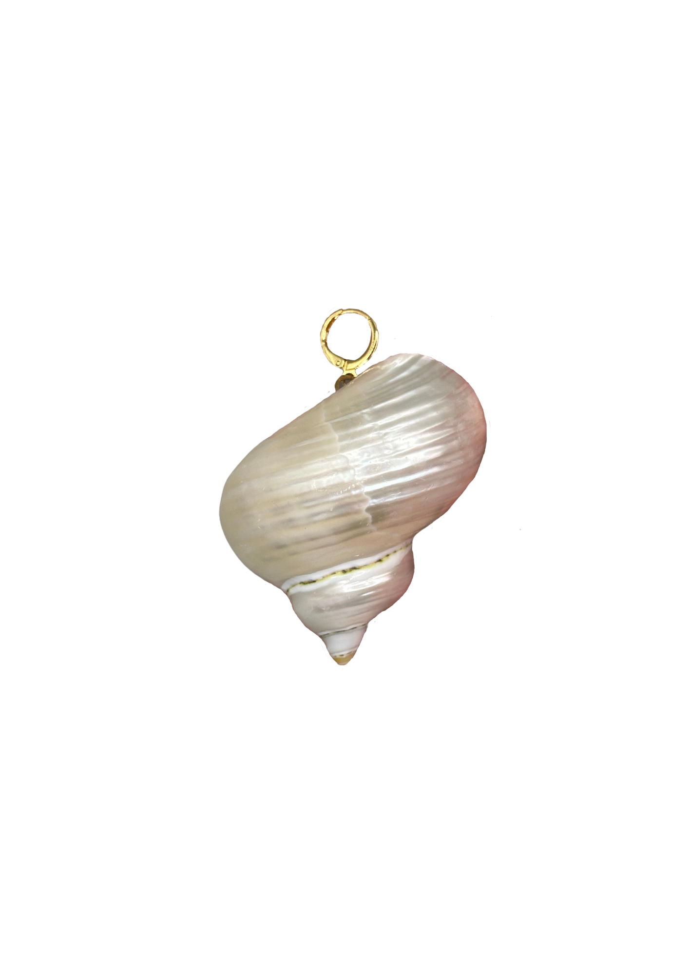 Grote schelp bedel