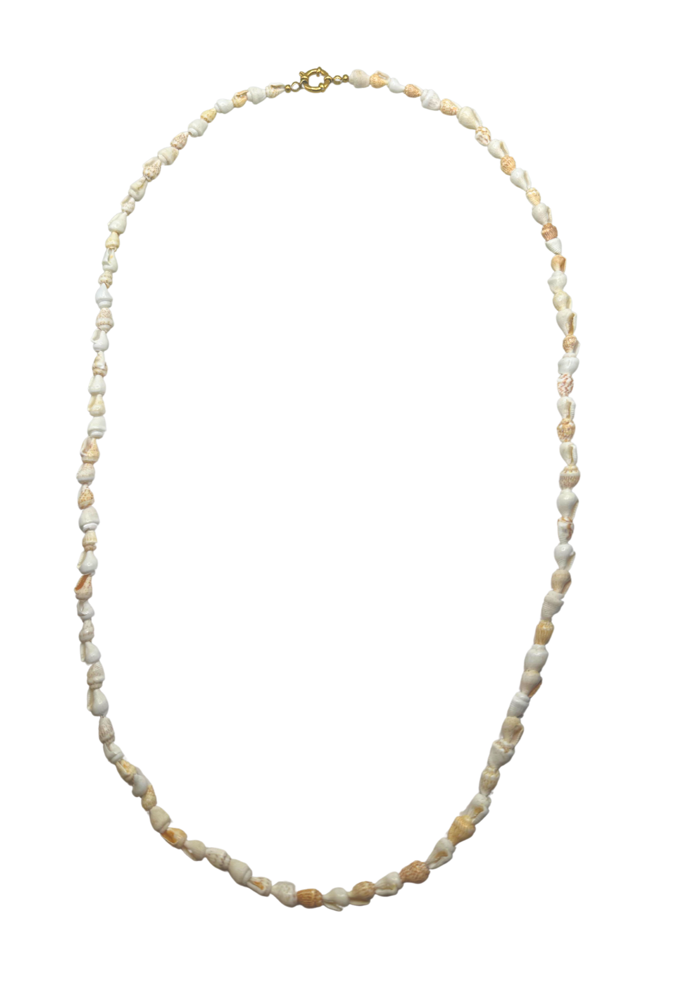 Shell Necklace