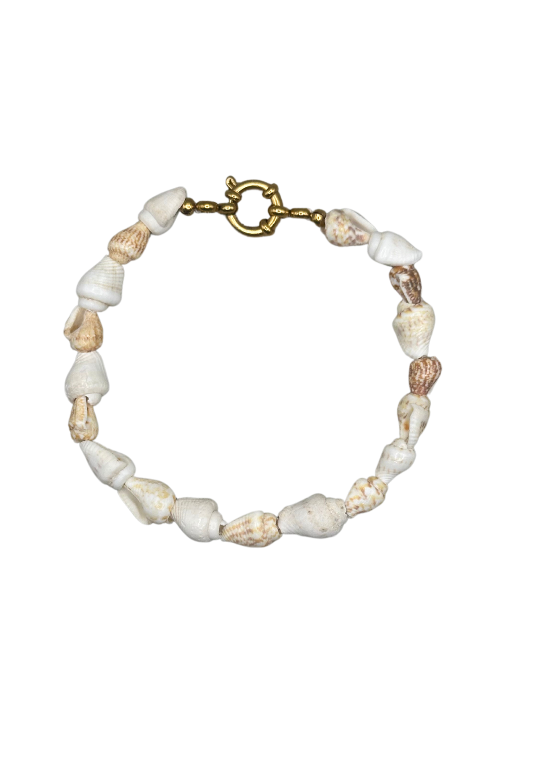 Shell Bracelet