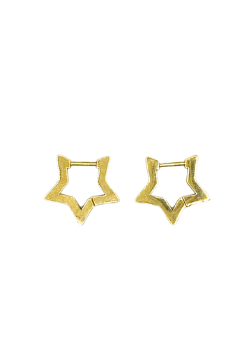 Ster Oorbellen ~ 2 stuks